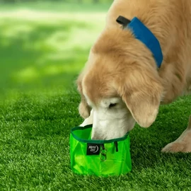 Nite Ize RadDog™ összehajtható kutyatál, lime
