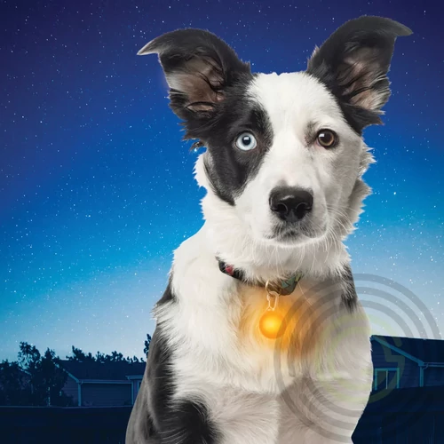 Nite Ize SpotLit® nyakörv lámpa, narancs