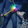 Kép 1/5 - GlowStreak LED labda